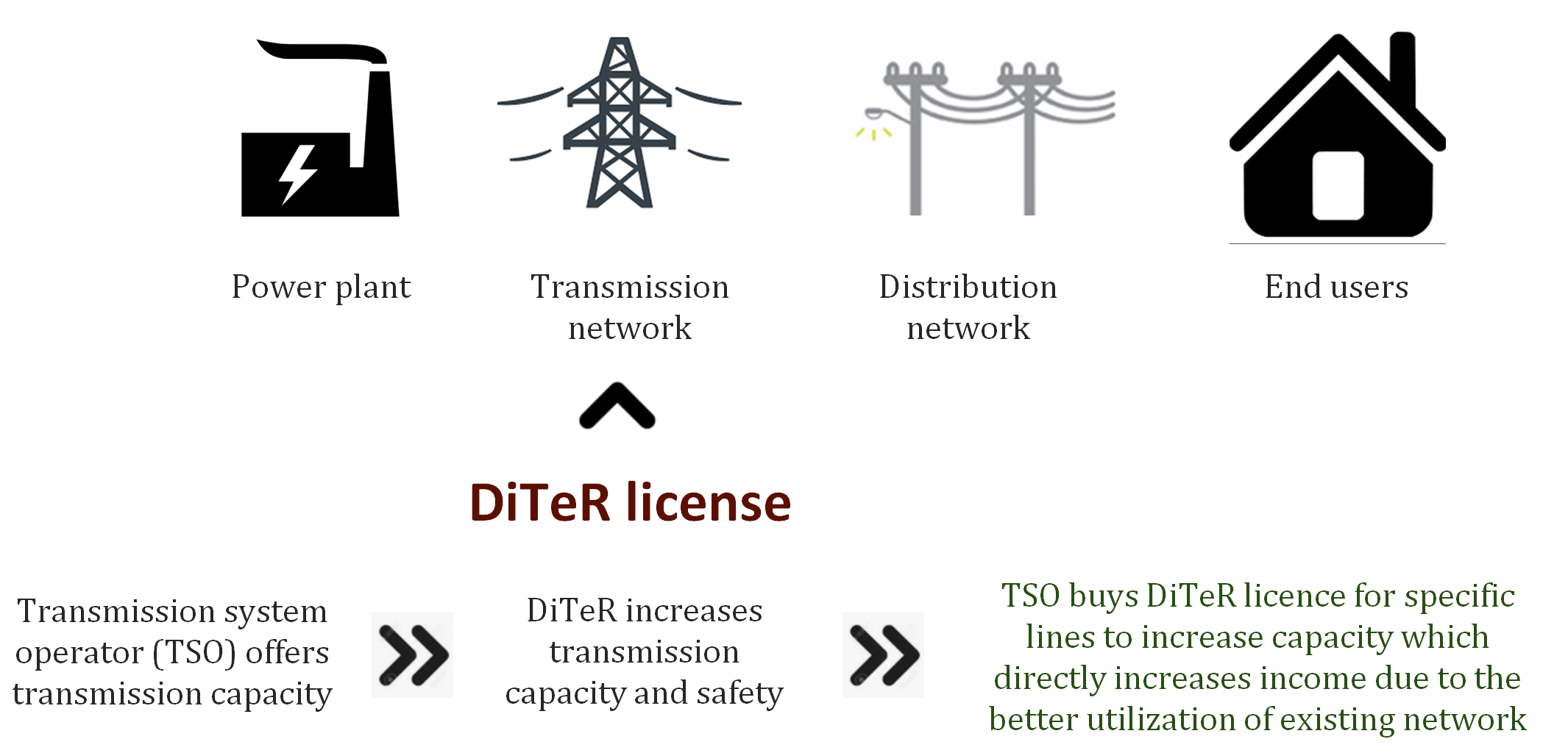 The marketing concept of DiTeR 