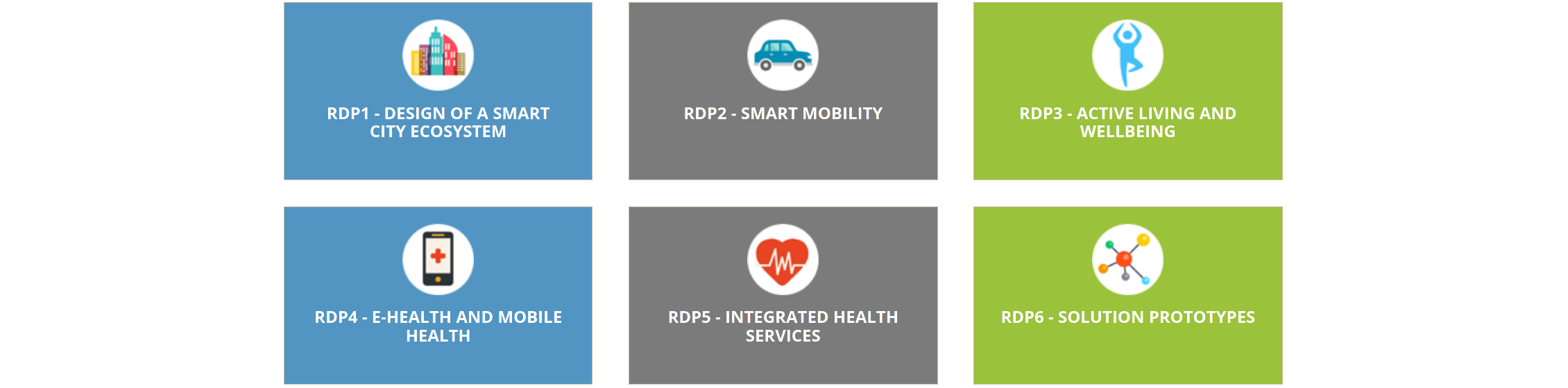 RDP stages of the program