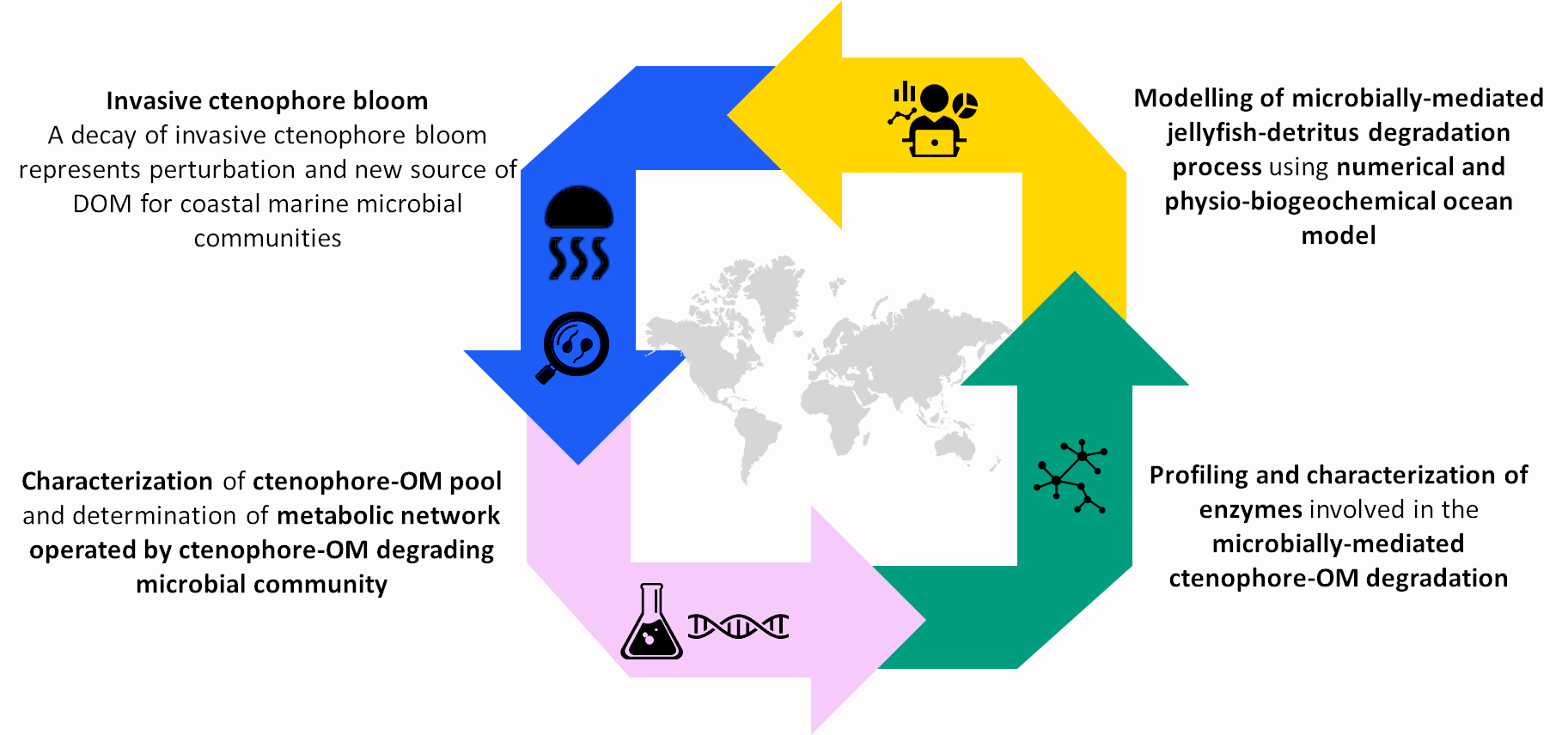 Scheme of the project